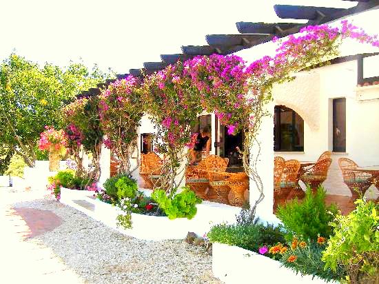 Giàn hoa giấy dịu êm